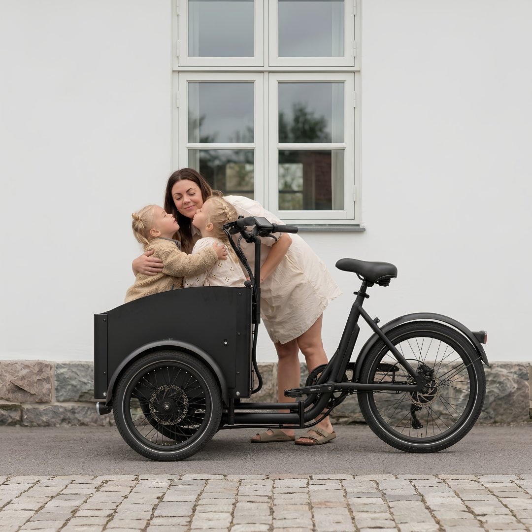 Elektryczny rower miejski Chanty Cargo